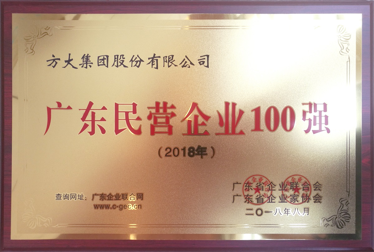 广东民营企业100强 